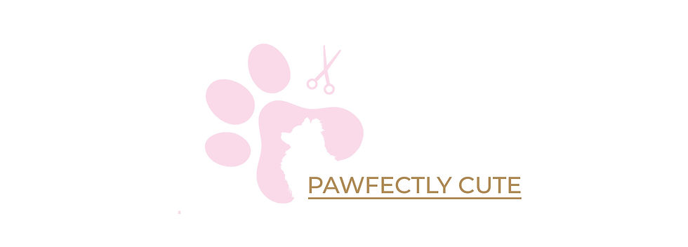PawfectlyCuteGroomingHeaderWeb.jpg