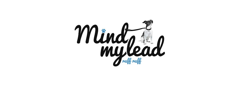 MindMyLeadHeaderWeb.jpg