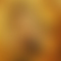 Daurade en croute de sel
鯛の塩包み焼き