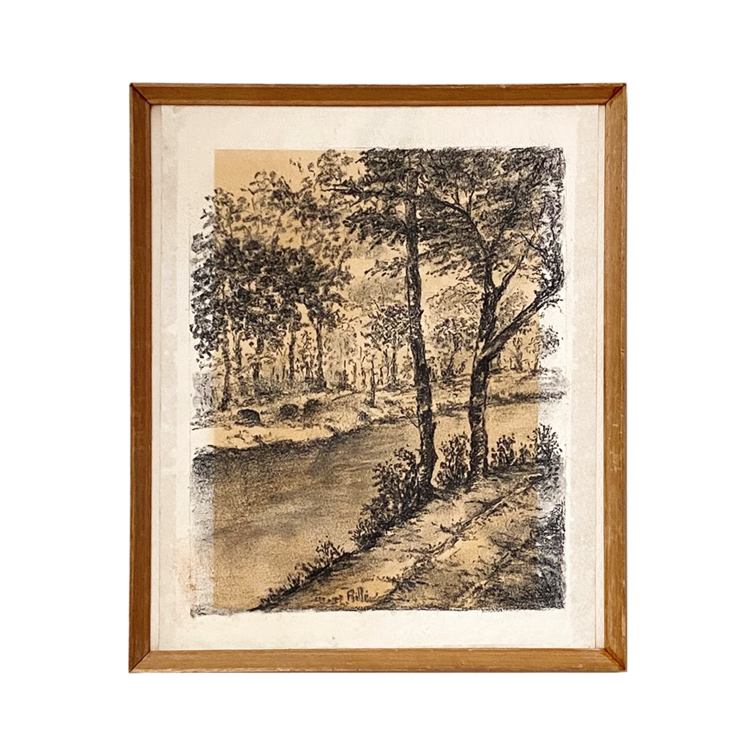 TREES PENCIL SKETCH DRAWING #1