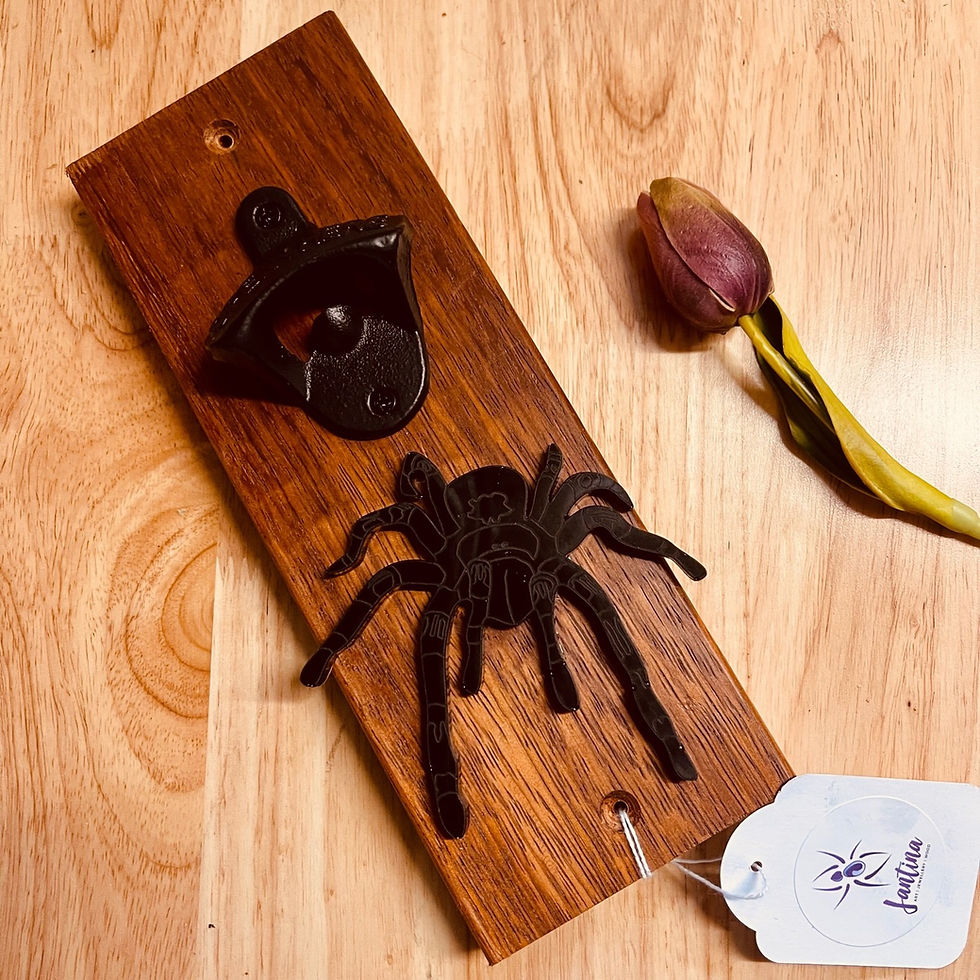 Thumbnail: Wall Mounted Bottle Opener