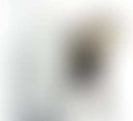 ¿Por qué leche de vaca no?