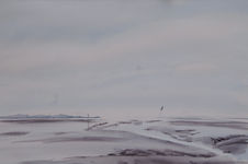 V 96 Dangast