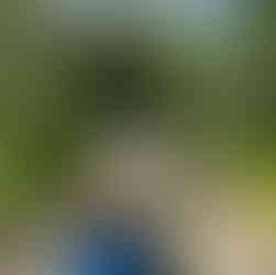 Man pulling camp gear through a campground