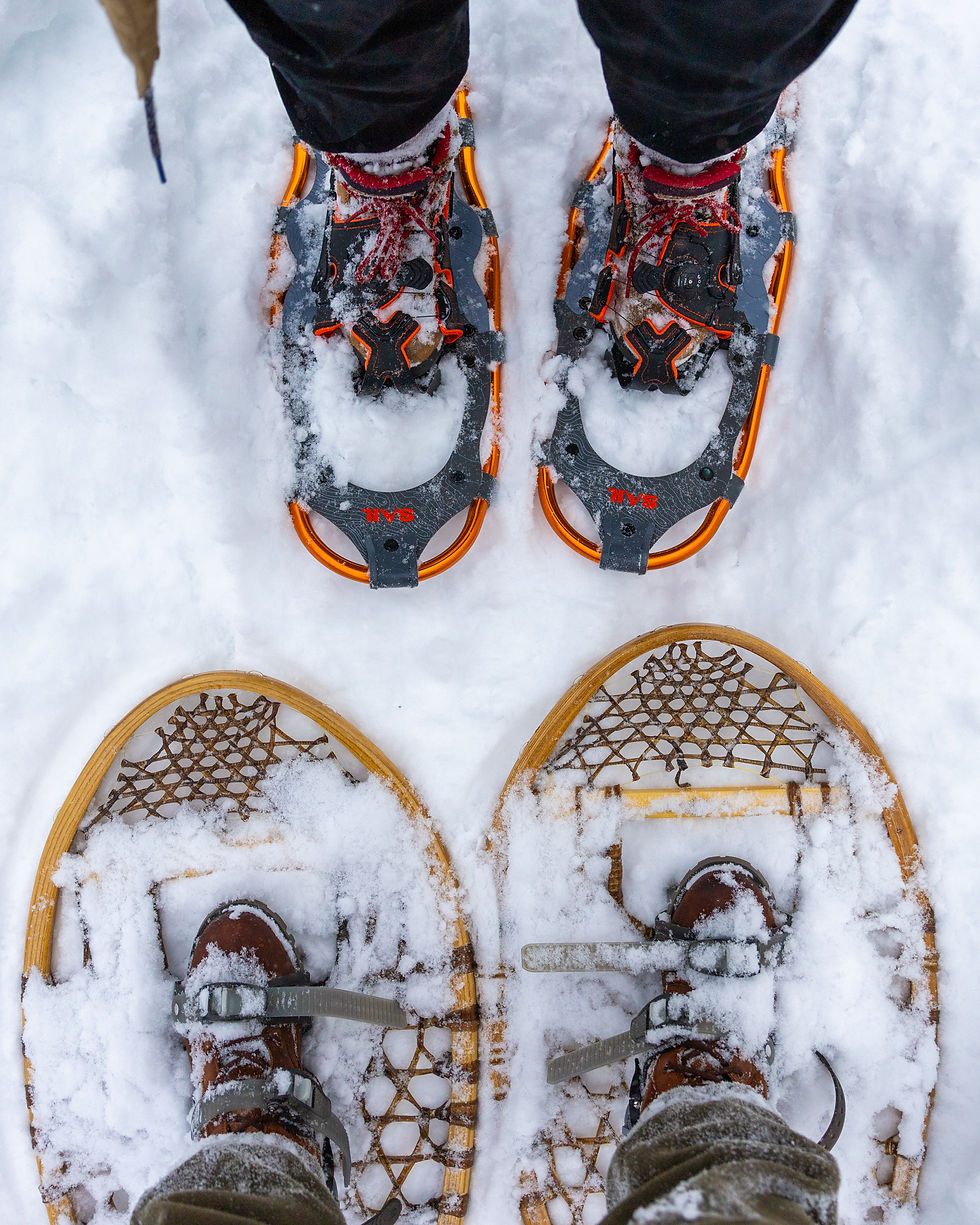 snowshoes on the snow in Haliburton Forest