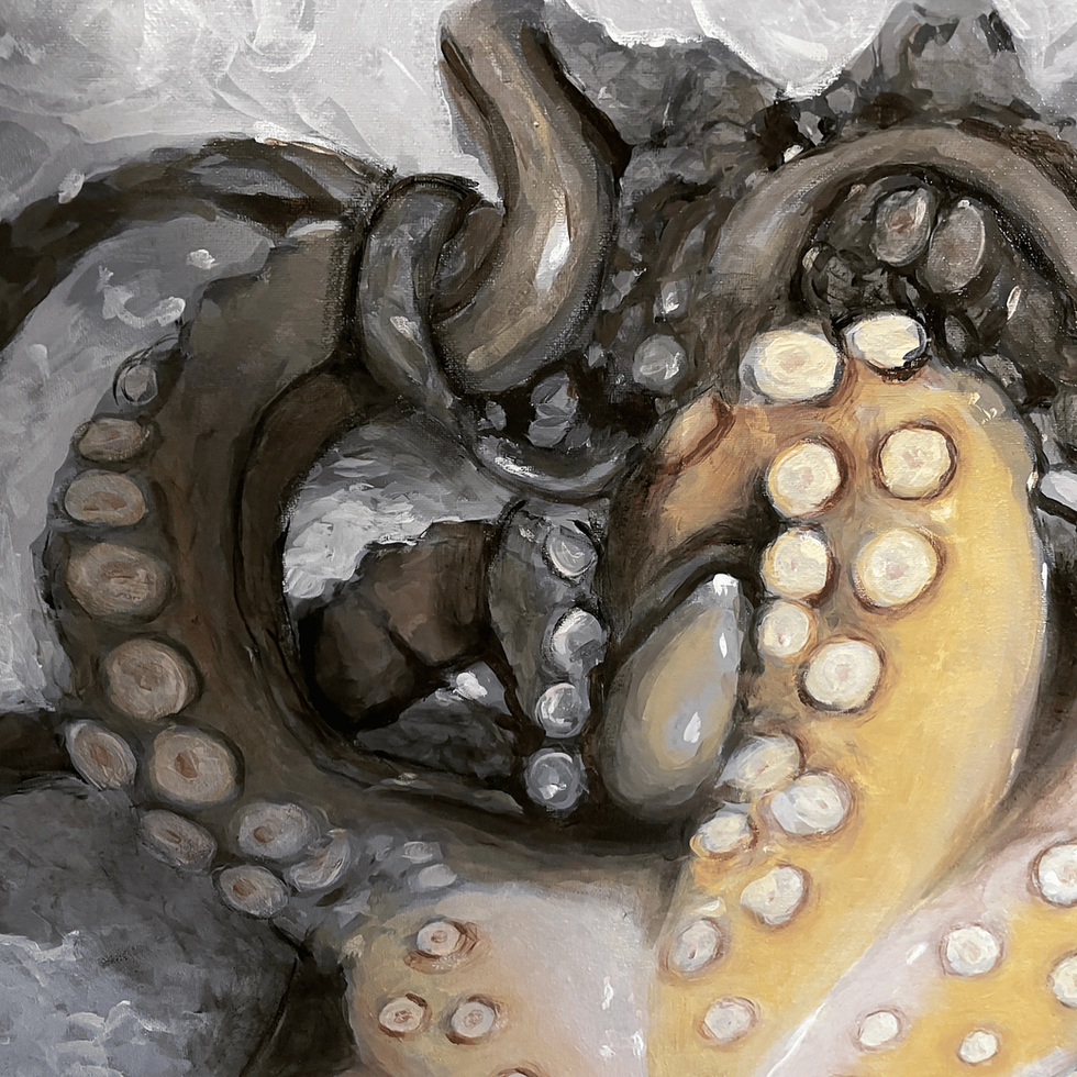 Octopus detail 