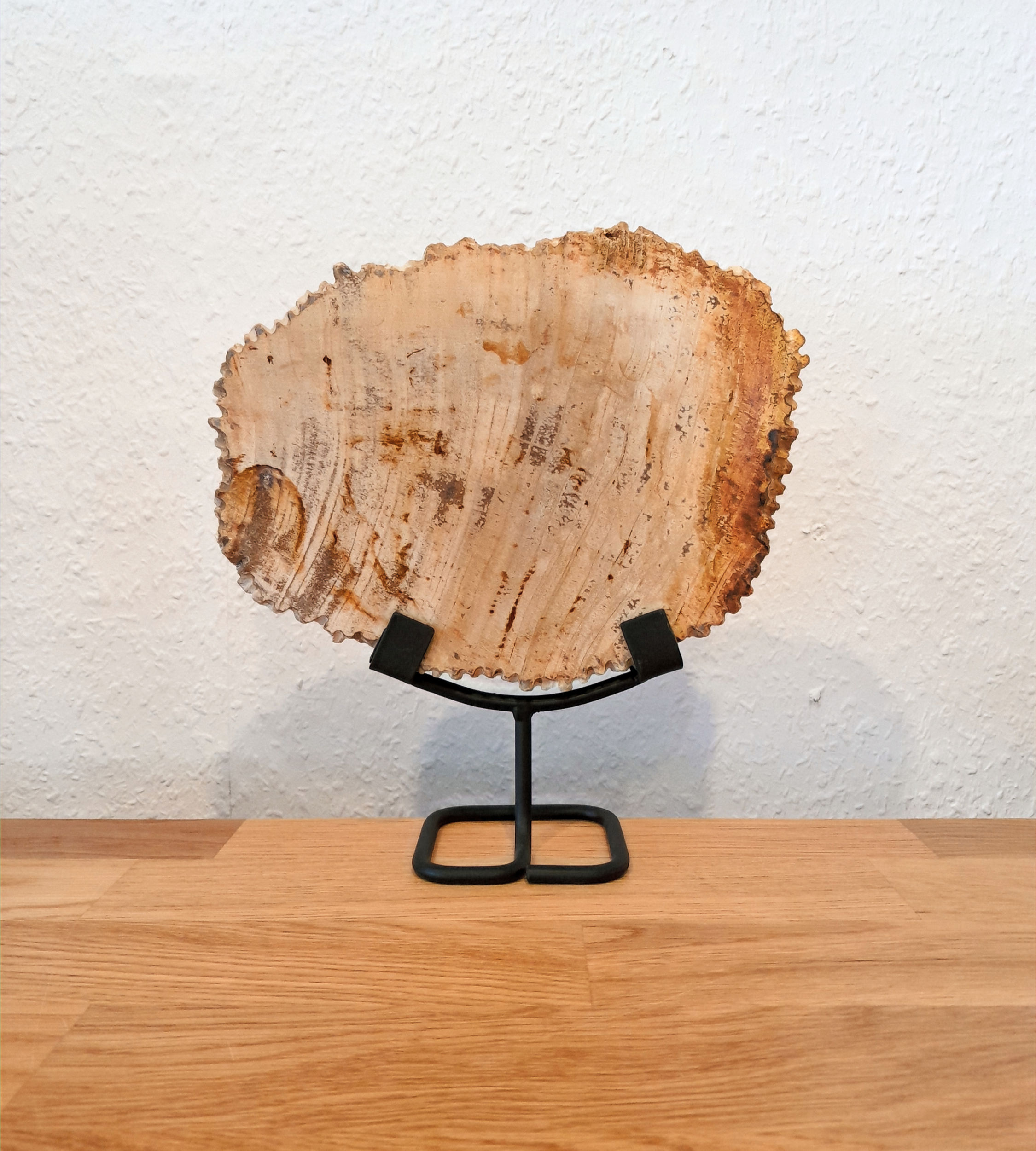 Versteinertes Holz auf Metallständer