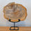 Miniaturbild: Versteinertes Holz auf Metallständer