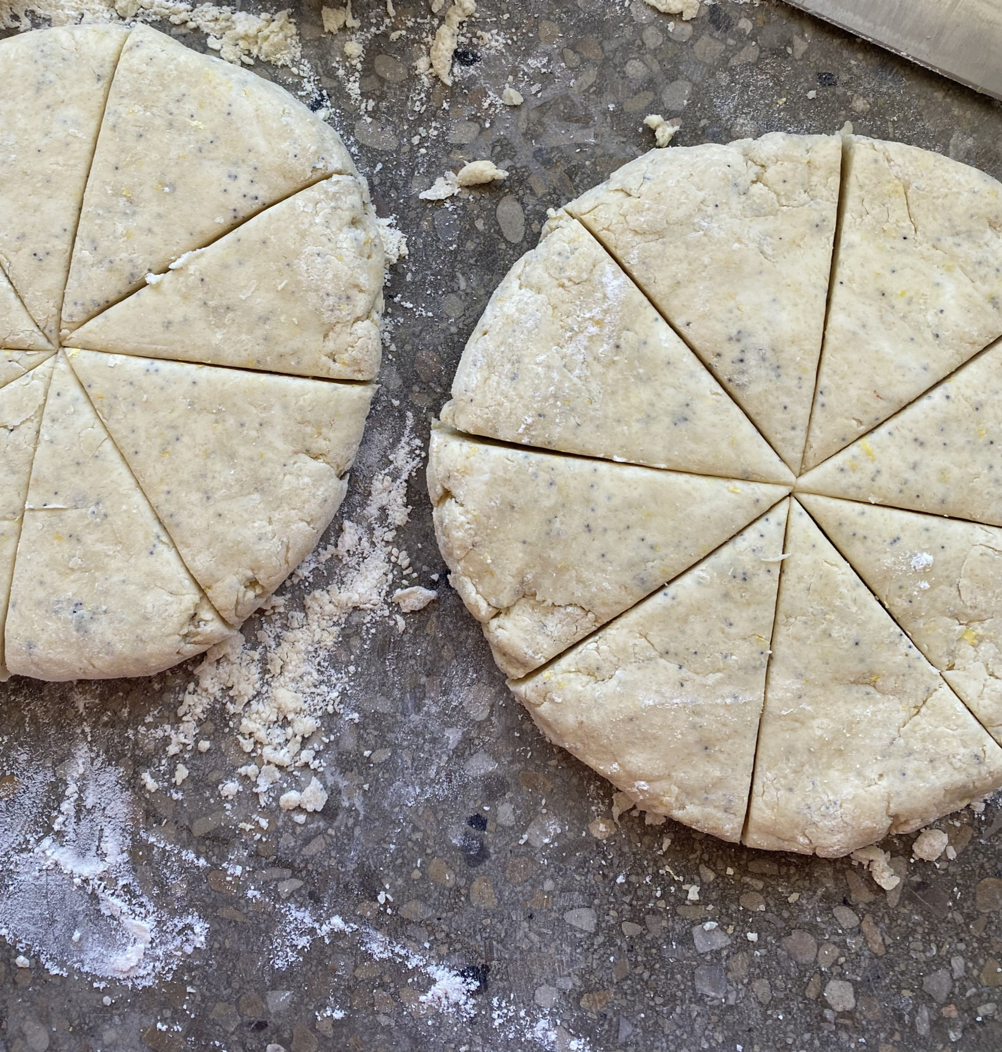Seasonal Scones, 1/2-Dozen Frozen Scones