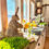 Thumbnail: Wheatgrass Tray
