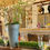 Thumbnail: Wheatgrass Tray