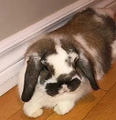 IMG_5168.jpeg
