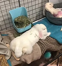 IMG_5169.jpeg