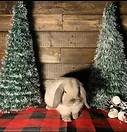 IMG_5171.jpeg