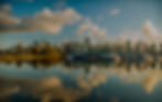 Image by Mike Benna