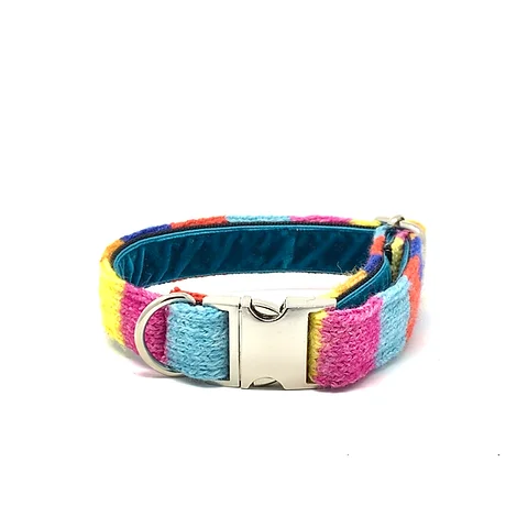Rainbow Dog Collar Stella Accessories