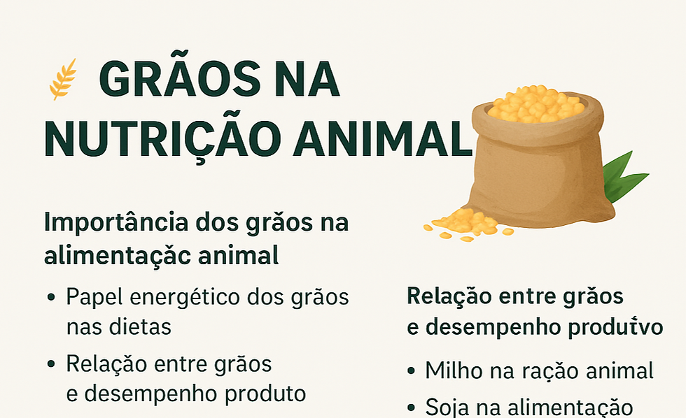 Grãos na Nutrição Animal: Importância, Qualidade e Uso Eficiente