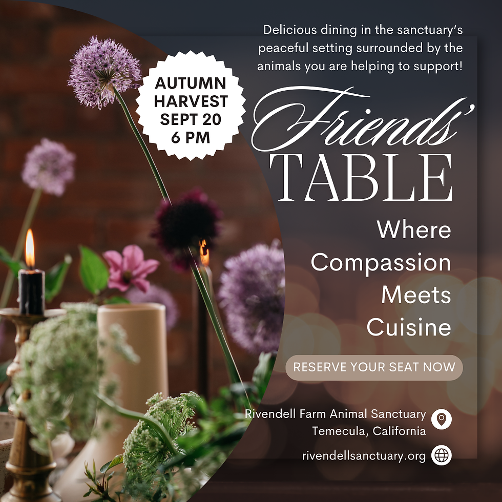 September Harvest Friends' Table