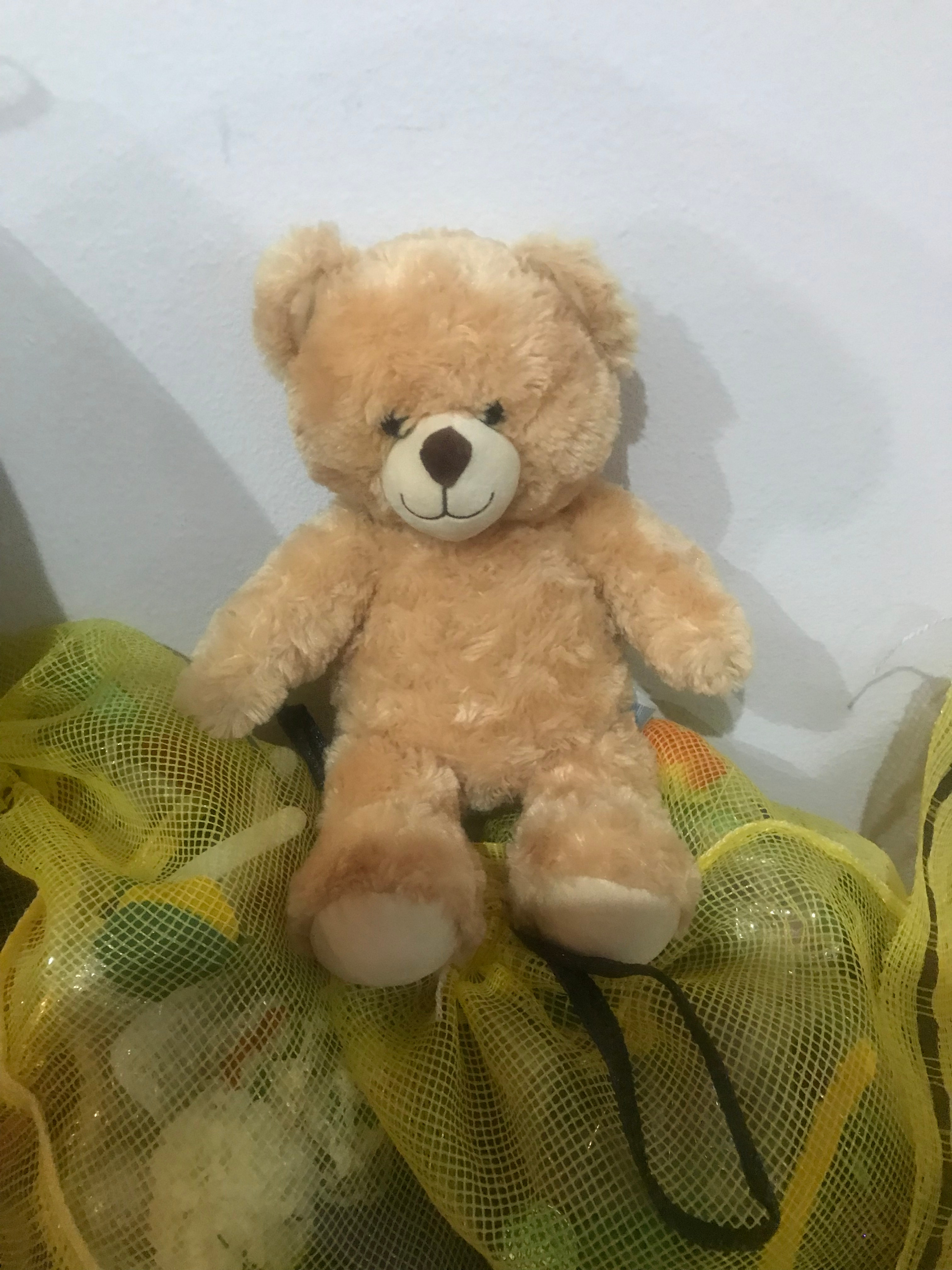 Large Stuffed Animal