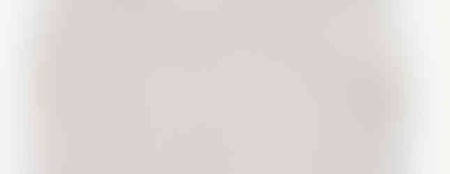 The towelled textured reverse of a safari themed bib