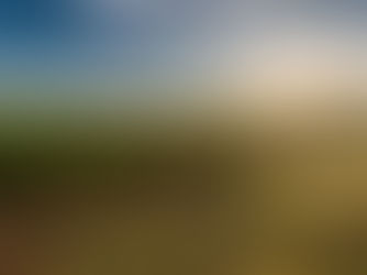 Golden morning light over the rolling hills and ancient vines of a Grand Cru vineyard in Burgundy, France.