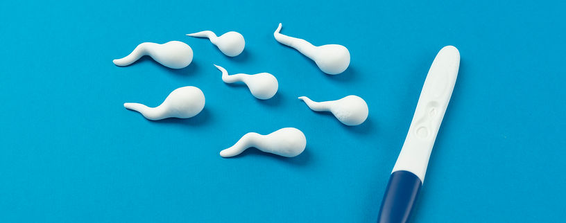 pregnancy-test-still-life-arrangement (1).jpg