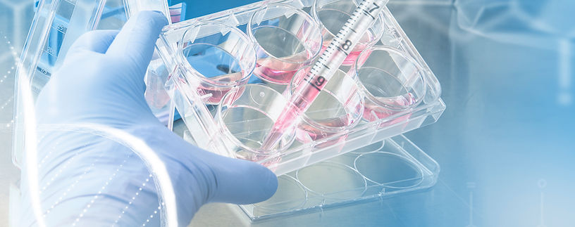 eicel invriezen Turkije kliniek voor reproductieve gezondheidszorg