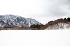 울릉도-나래분지 (10).JPG