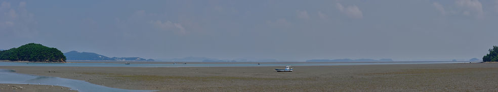 예단포 항 갯벌