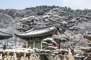 전등사약사전1-보물179호.JPG