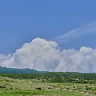 한라산 윗세오름코스