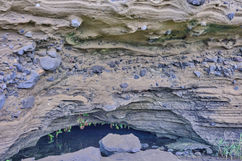 수월봉지오트레일07 (1).jpg