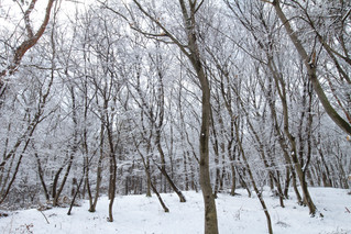 강화마니산-135 (13).JPG