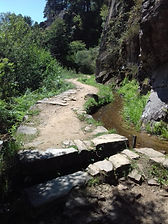 20180729_141311.jpg