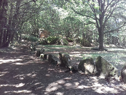20180729_134742.jpg
