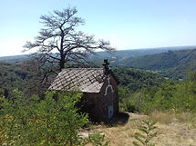 20180729_143050.jpg