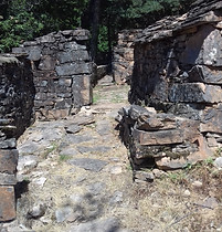 20180729_131837.jpg