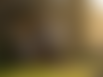 Couple arriving at Elgin guest house entrance