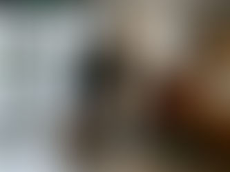 Family checking into Elgin hotel lobby