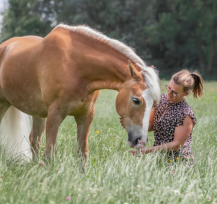wir Arbeiten mit dem Gefühl, statt dem Kopf