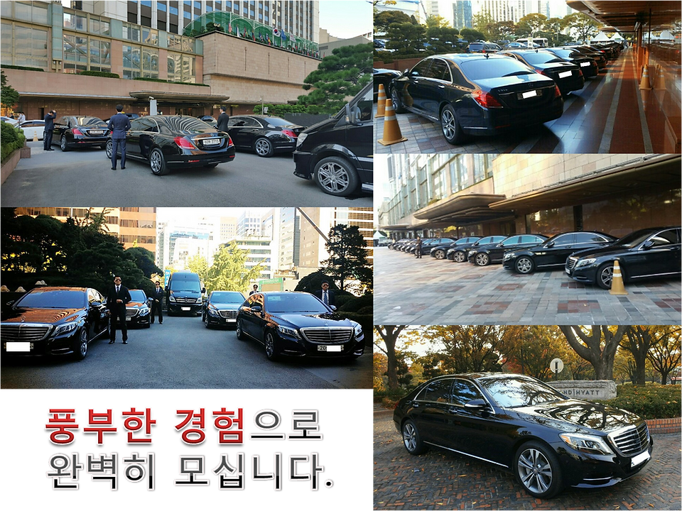 의전전문
