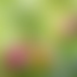 Teach Us How To Pray: Prayer & The WORD for 3-30-25