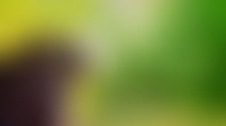 Teach Us How To Pray: Prayer & The WORD for 3-28-25