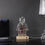 Miniature : Roboclusion Joker