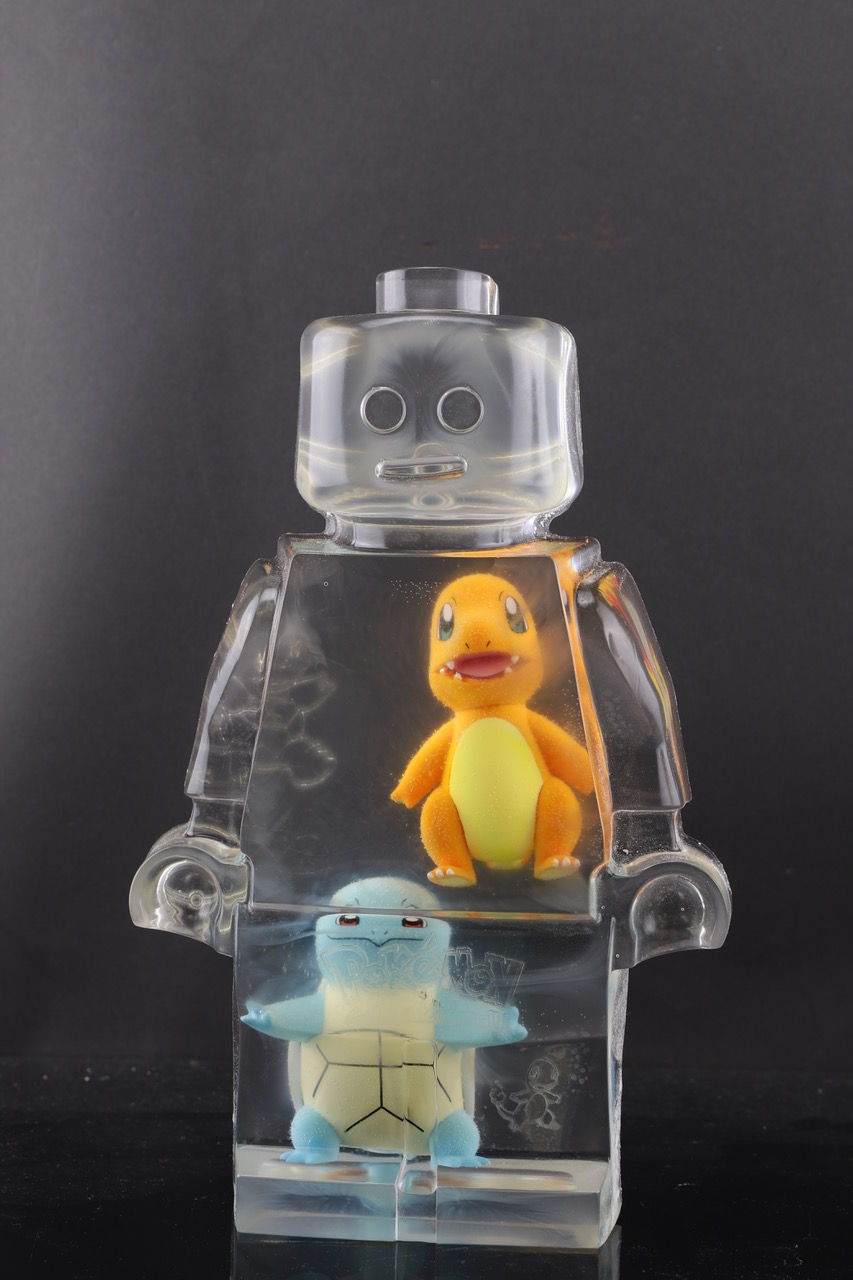 Roboclusion Salamèche et carapuce