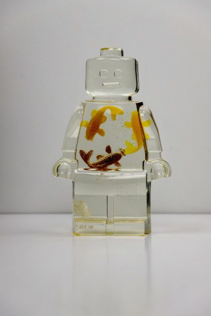 Roboclusion Carpe Koï A