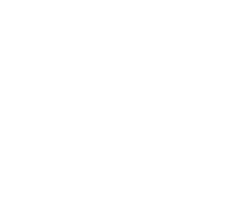 NIU_Logo_white.png
