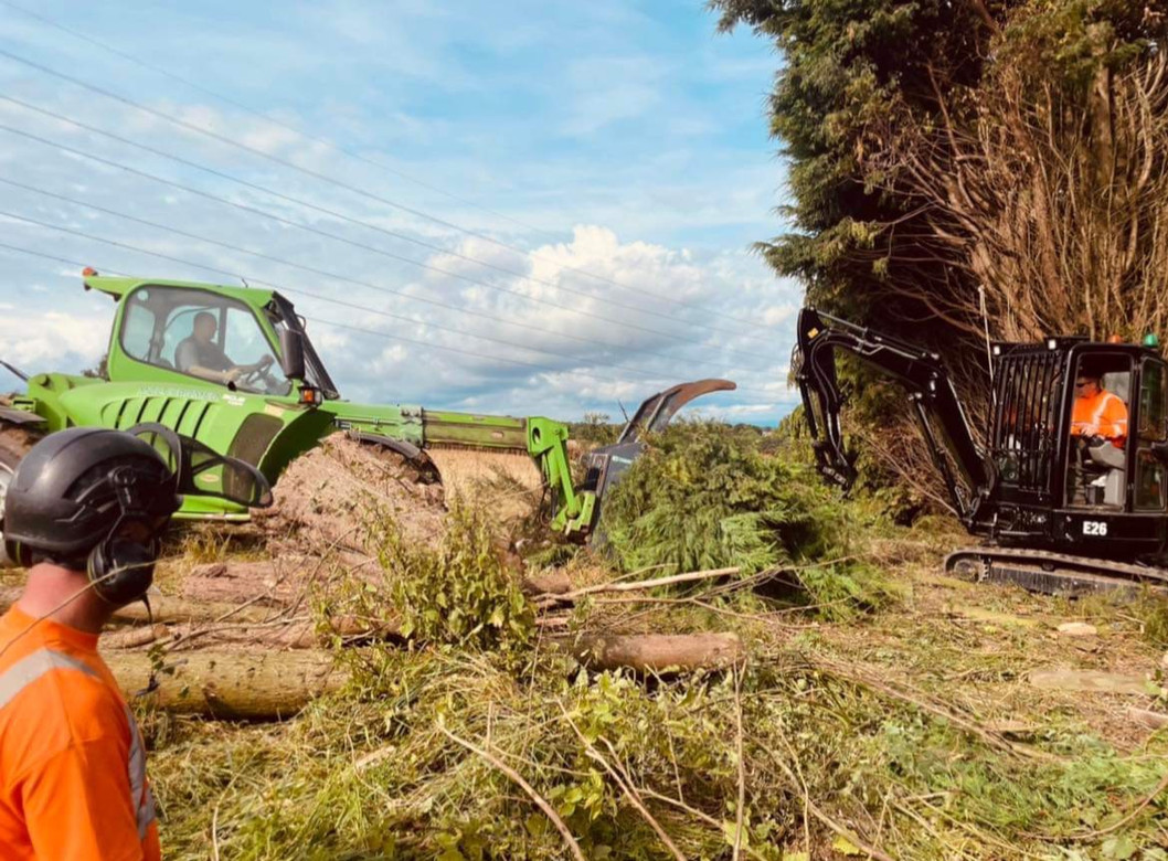 Special Branch Tree Services NE Ltd Tree Surgeon