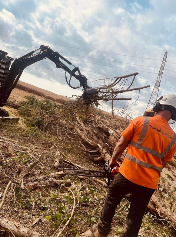 Special Branch Tree Services NE Ltd Tree Surgeon