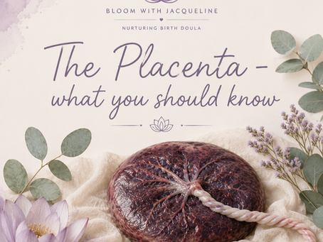 The Placenta: What It Does, How It's Born, and Your Options After Birth
